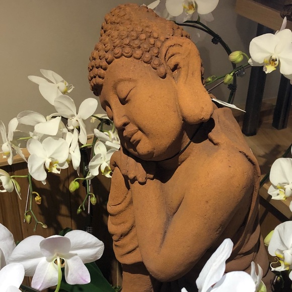 Meet your Posher, Dena - Picture 1 of 1